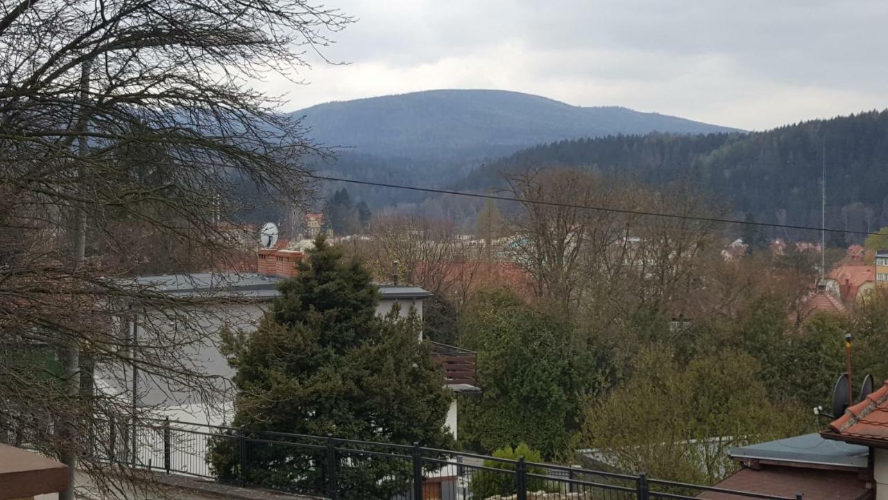 Apartament Z Widokiem-Blizej Zdroju Polanica-Zdrój Eksteriør bilde