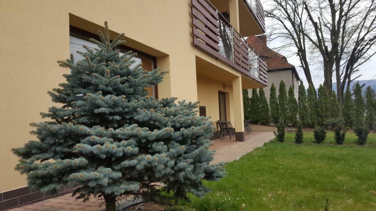 Apartament Z Widokiem-Blizej Zdroju Polanica-Zdrój Eksteriør bilde